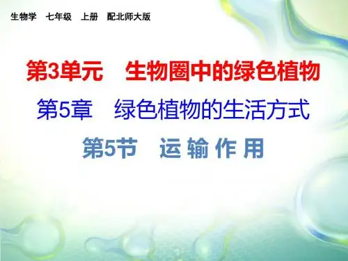 2019年北师大版七年级上册生物课件：第5章课堂十分钟 (6)