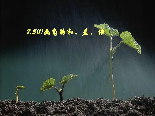 年沪教版六年级数学下册 7.5《画角的和、差、倍》优质课课件
