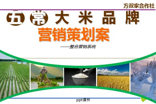 高端大米产品上市规划方案  ppt课件