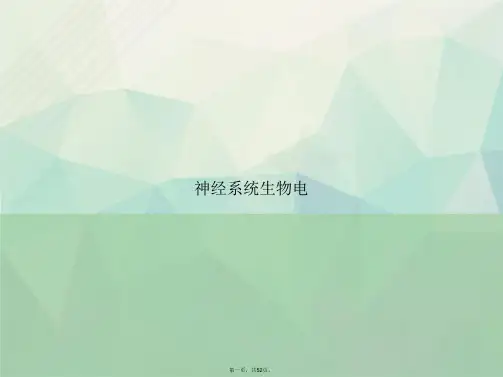神经系统生物电讲课文档