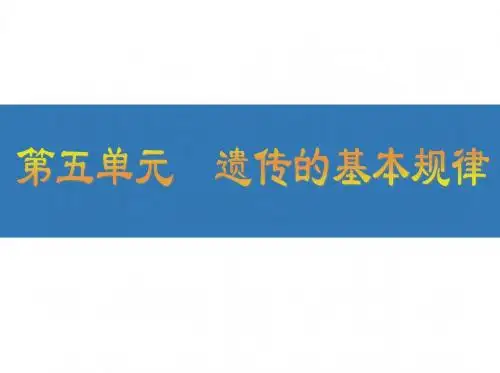 人教版2019年高考生物一轮复习课件：第五单元 遗传的基本规律