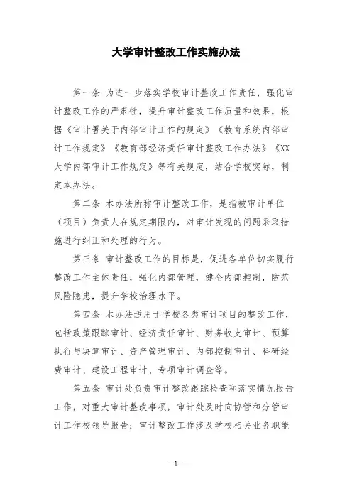 大学审计整改工作实施办法