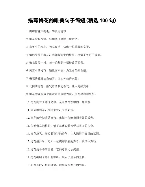 描写梅花的唯美句子简短(精选100句)