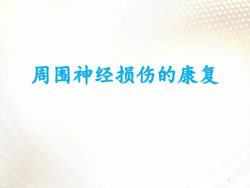 周围神经损伤康复  ppt课件
