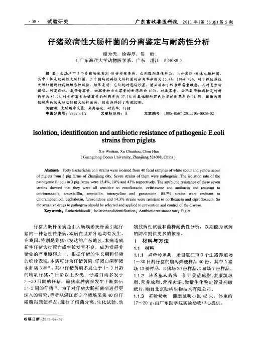 仔猪致病性大肠杆菌的分离鉴定与耐药性分析