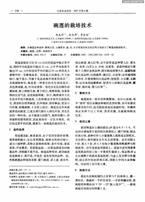 碗莲的栽培技术