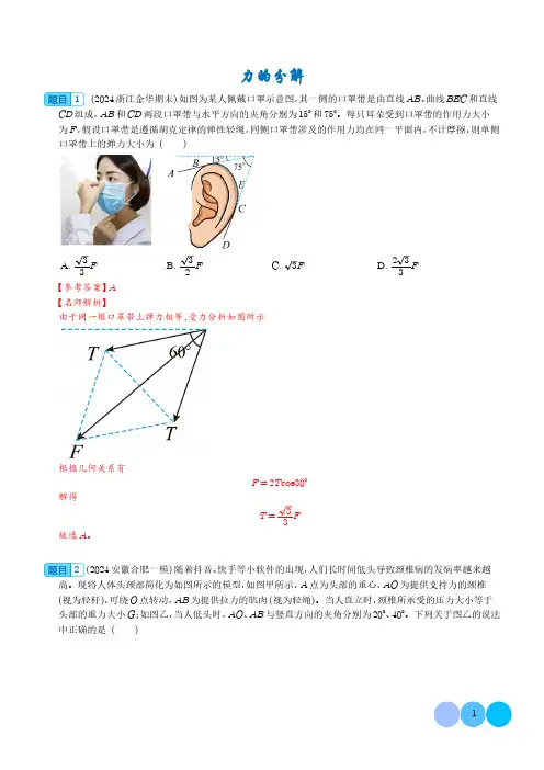 力的分解(解析版)-2025年新高考物理精练