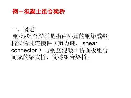 钢-混凝土组合梁桥