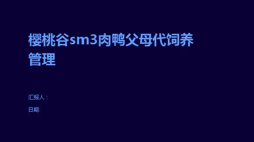 樱桃谷sm3肉鸭父母代饲养管理