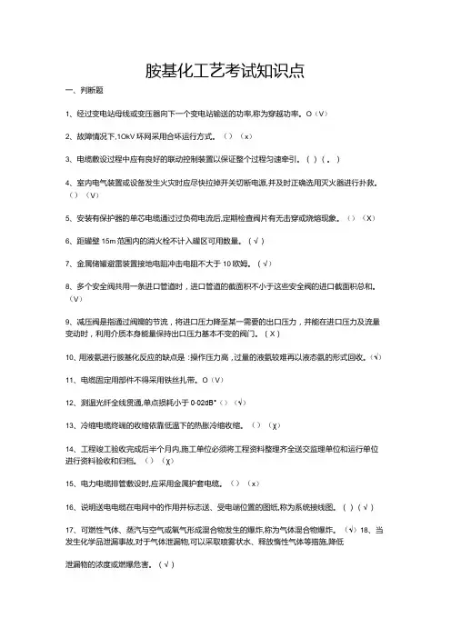 胺基化工艺考试知识点