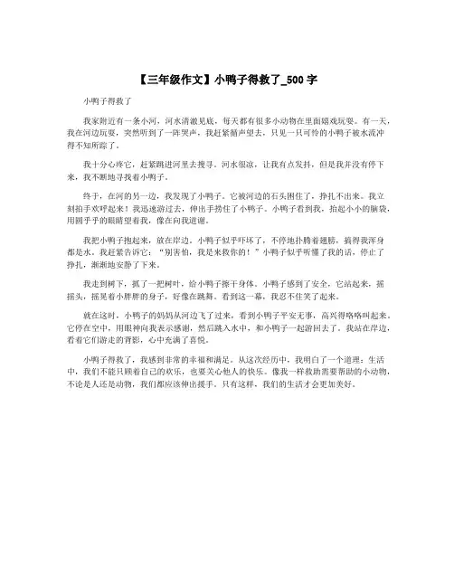 【三年级作文】小鸭子得救了_500字