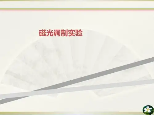 磁光调制实验