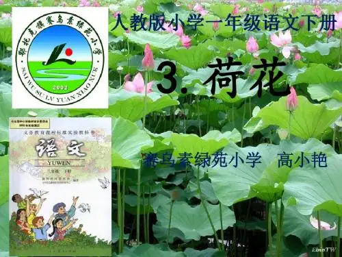 《荷花》说课稿的PPT