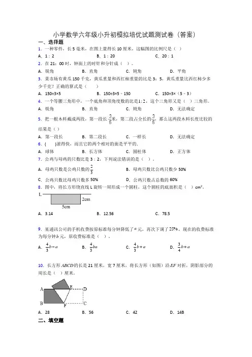 小学数学六年级小升初模拟培优试题测试卷(答案)