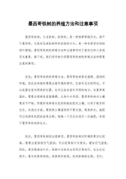 墨西哥铁树的养殖方法和注意事项