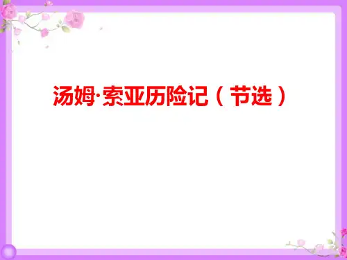 新部编版语文六年级下册《汤姆索亚历险记》优质ppt教学课件