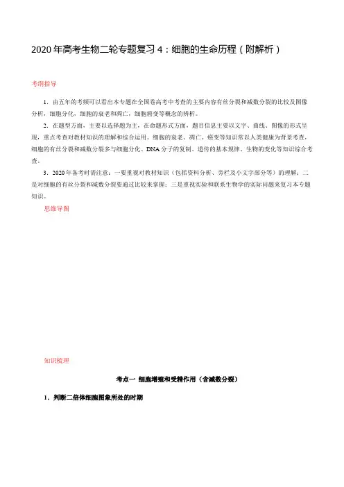 2020年高考生物二轮专题复习4：细胞的生命历程(附解析)