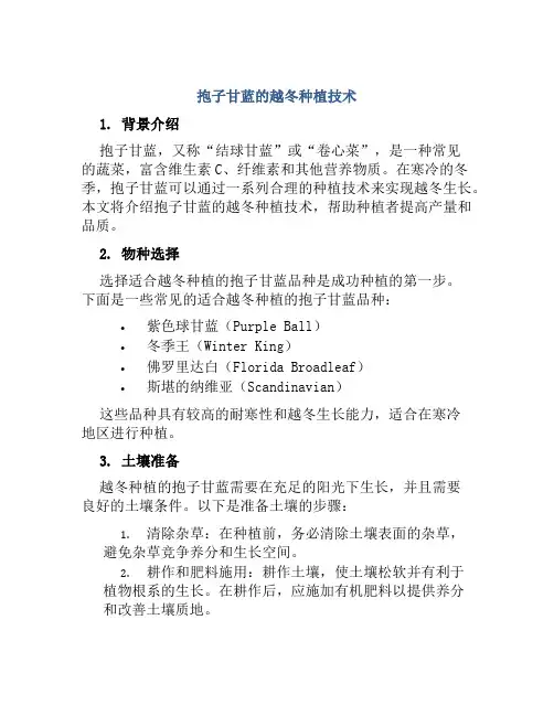 抱子甘蓝的越冬种植技术