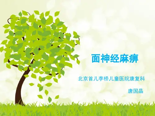 面瘫-ppt课件