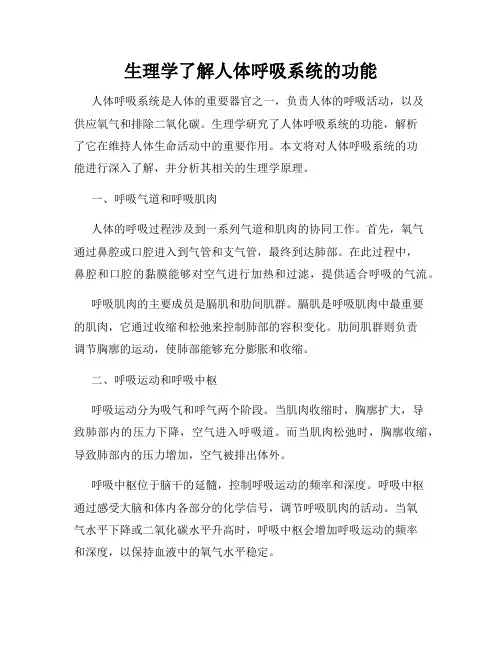 生理学了解人体呼吸系统的功能