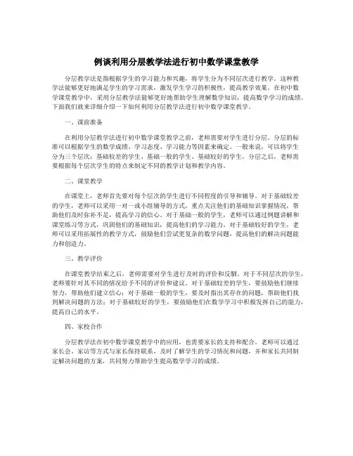 例谈利用分层教学法进行初中数学课堂教学