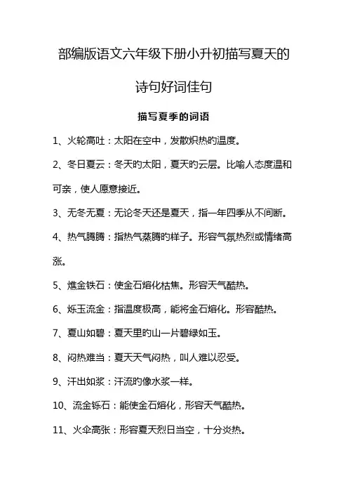 部编版语文六年级下册小升初描写夏天的诗句好词佳句