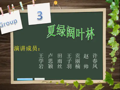 夏绿阔叶林ppt