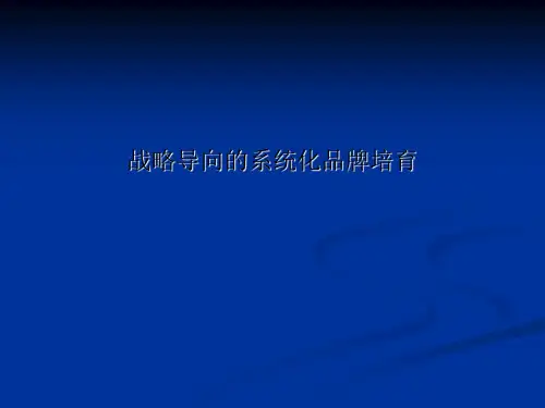 战略导向的系统化品牌培育