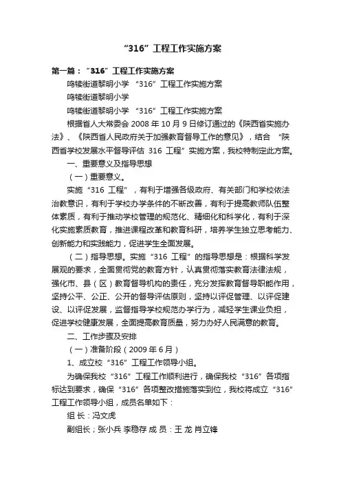 “316”工程工作实施方案