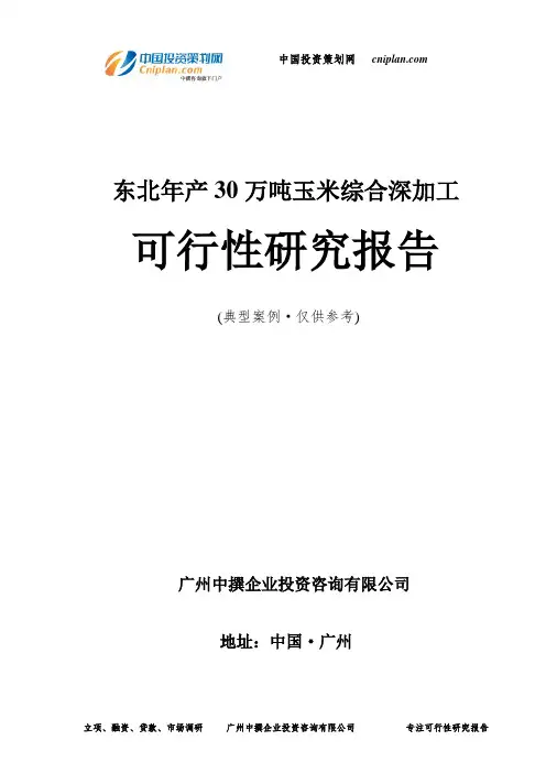 东北年产30万吨玉米综合深加工可行性研究报告-广州中撰咨询