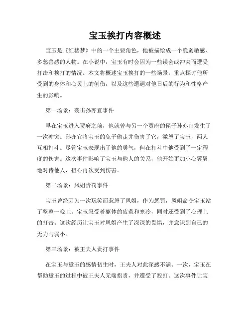 宝玉挨打内容概述