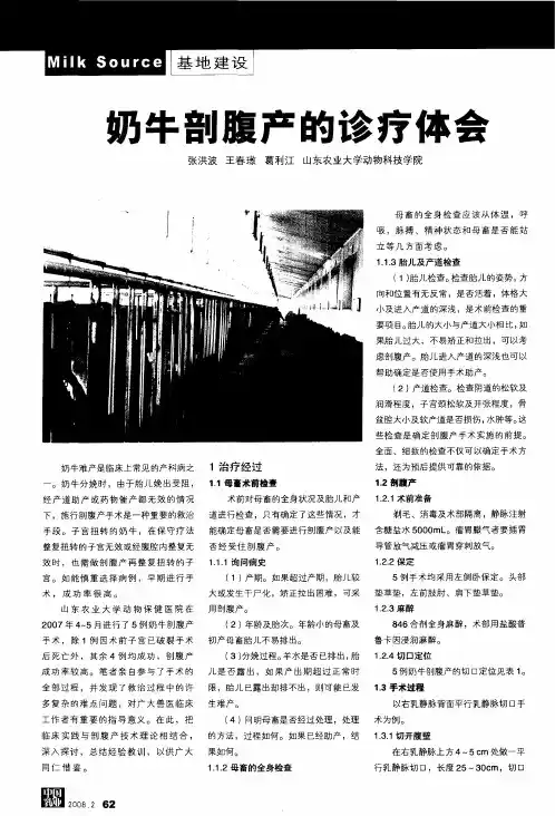 奶牛剖腹产的诊疗体会