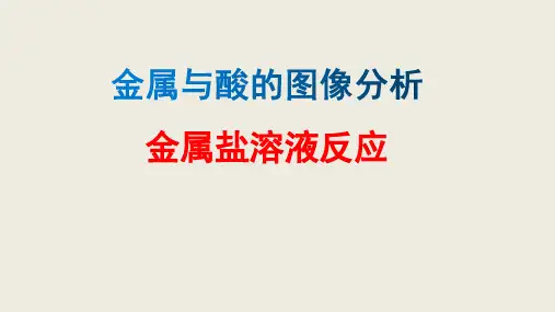 专题复习 金属与酸、盐溶液反应的图像分析