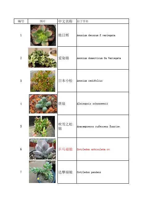 280种多肉植物学名图片(中英韩)