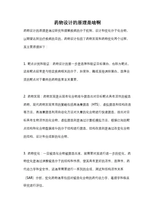 药物设计的原理是啥啊
