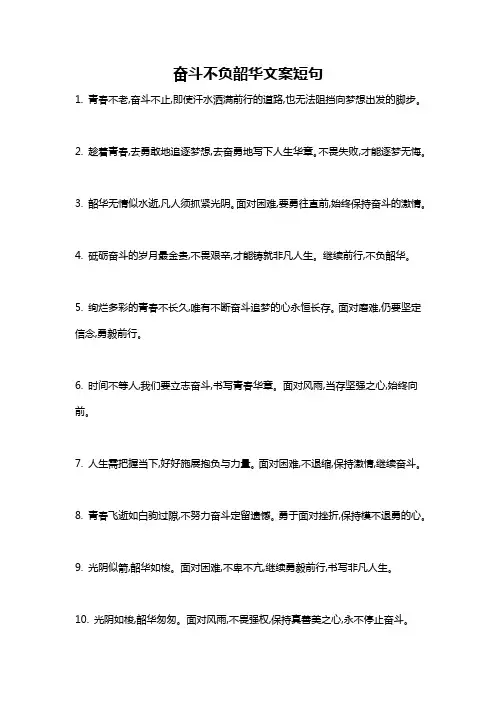奋斗不负韶华文案短句