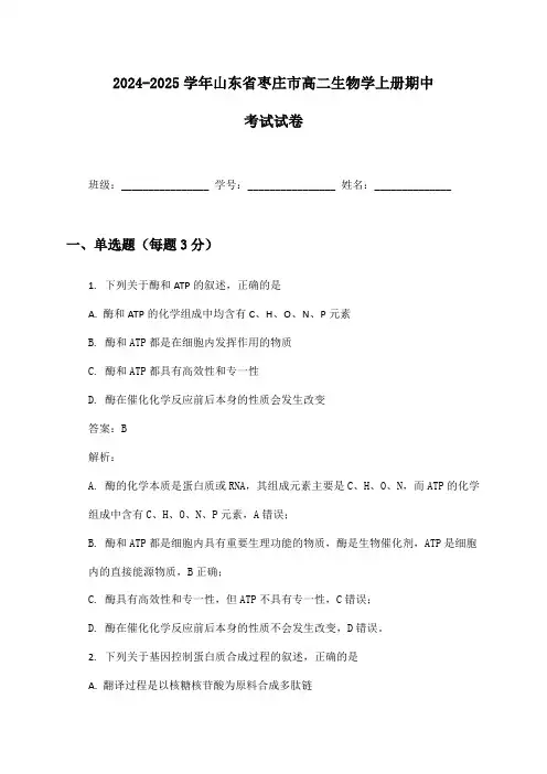 2024-2025学年山东省枣庄市高二生物学上册期中考试试卷及答案