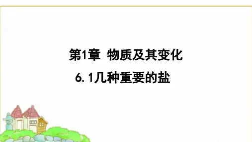 浙教版九年级科学上册1.6.1几种重要的盐课件