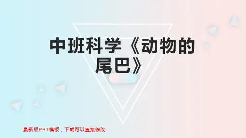 中班科学《动物的尾巴》 幼儿园中班科学教案PPT模板下载