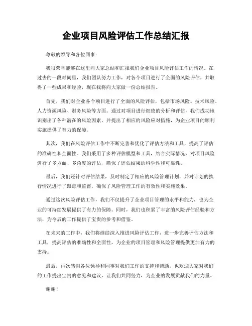 企业项目风险评估工作总结汇报