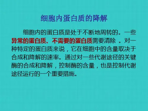 吉林大学食品生物化学  蛋白质代谢