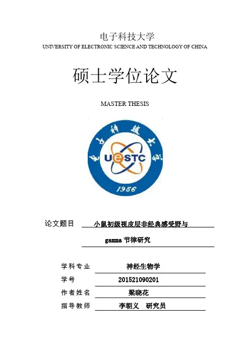 小鼠初级视皮层非经典感受野与gamma节律研究
