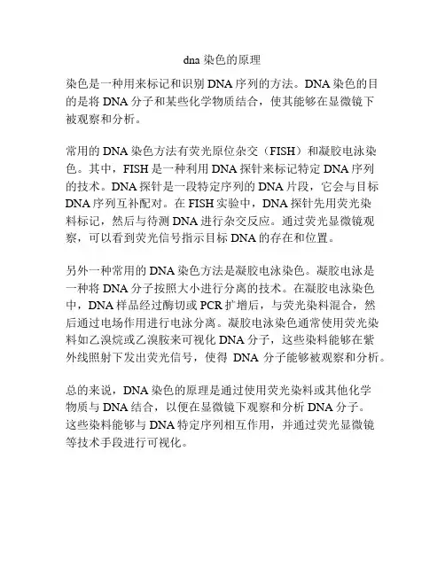 dna 染色的原理