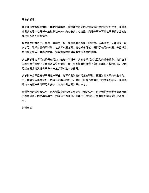 奖学金获奖感言述职报告