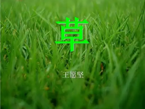 《草》PPT课件(上课用)7