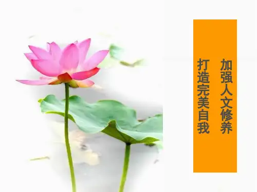 护理行业如何加强人文修养打造完美自我