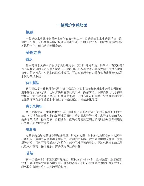 一级锅炉水质处理