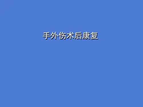 专家讲座：手外伤术后康复课件