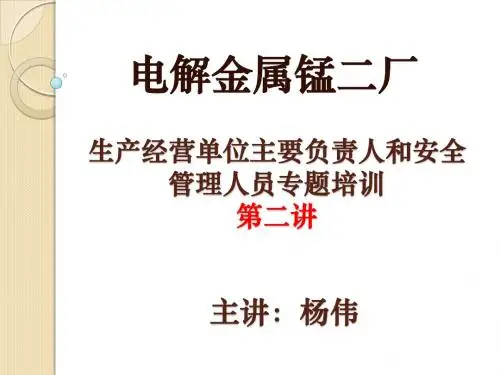 生产经营单位主要负责人和安全管理人员专题培训(第二讲)