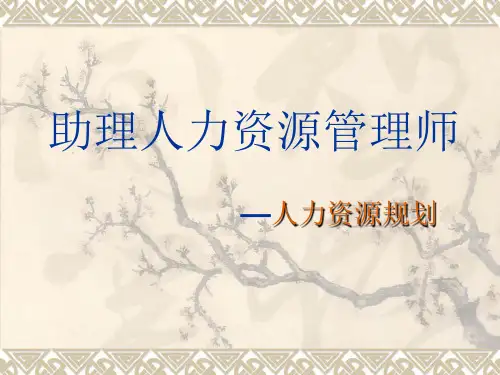 人力资源规划-三级人力资源规划 精品
